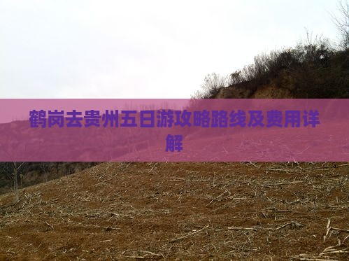 鹤岗去贵州五日游