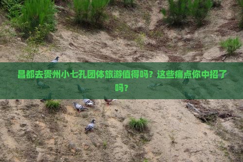 昌都去贵州小七孔团体旅游