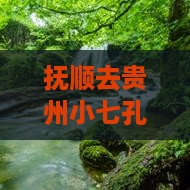抚顺去贵州小七孔五日游