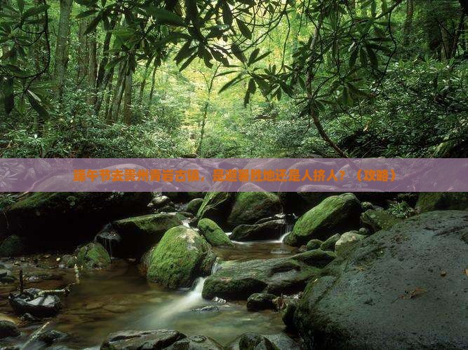 端午节到贵州青岩古镇景点