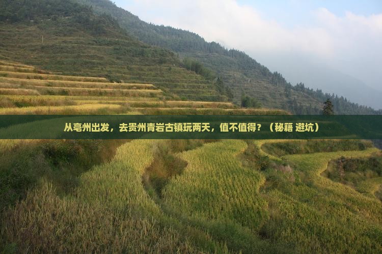 亳州到贵州青岩古镇二日游
