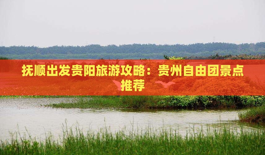 抚顺到贵州贵阳自由团