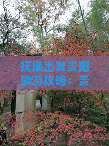 抚顺到贵州贵阳自由团