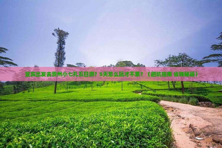 宜宾去贵州小七孔五日游
