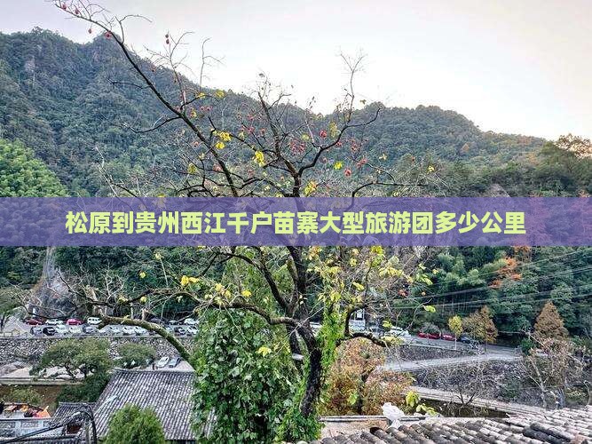 松原到贵州西江千户苗寨大型旅游团