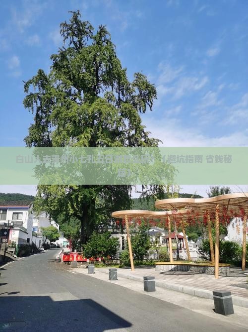 白山去贵州小七孔五日游