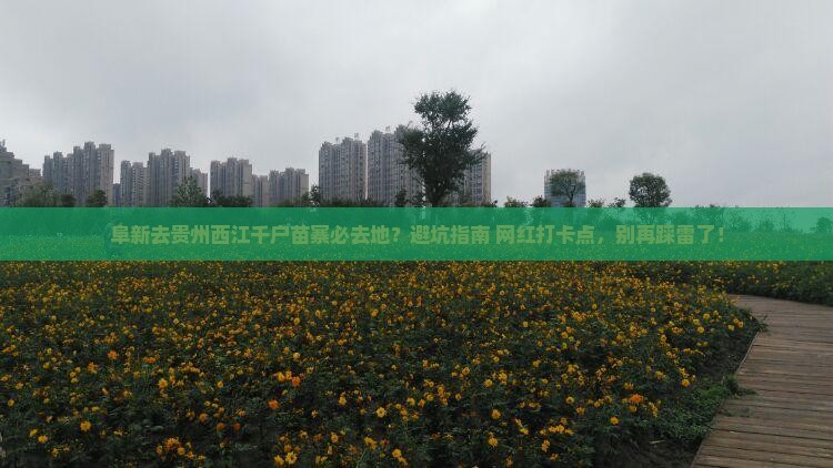 阜新去贵州西江千户苗寨必去地