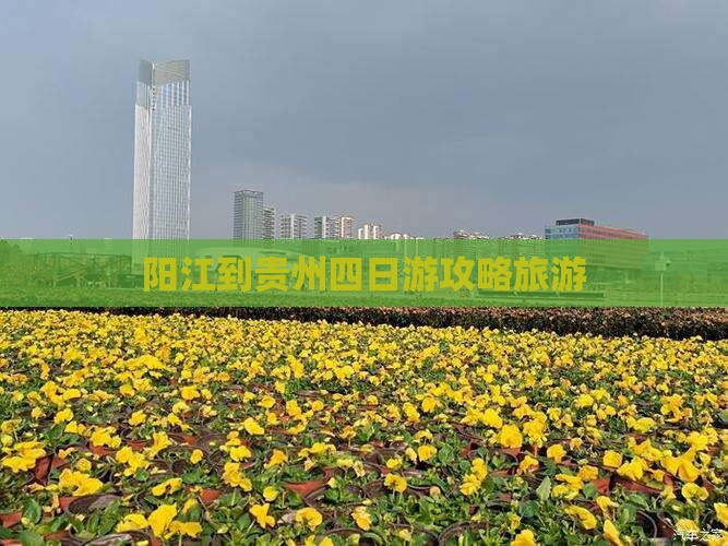 阳江到贵州四日游