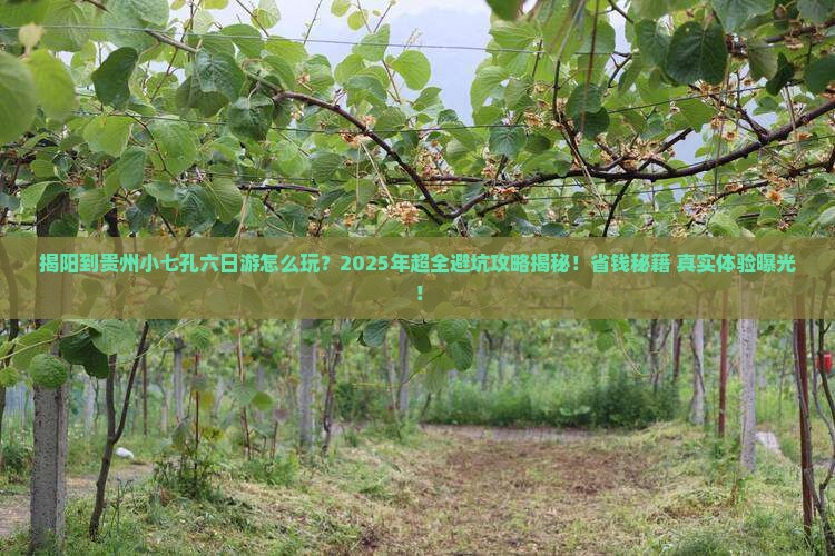 揭阳到贵州小七孔六日游