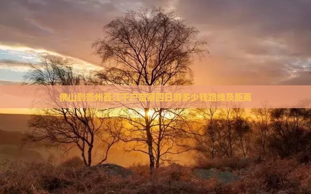 佛山到贵州西江千户苗寨四日游