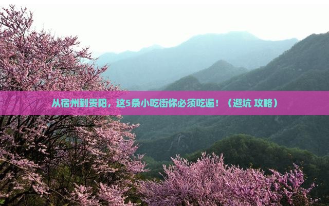 宿州到贵州贵阳旅游小吃