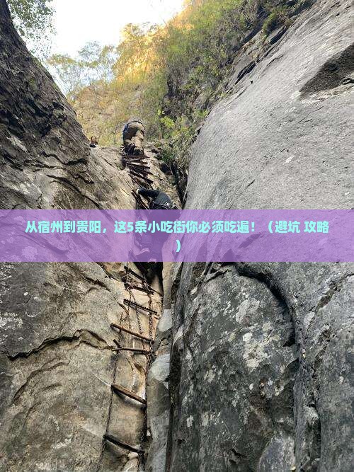 宿州到贵州贵阳旅游小吃