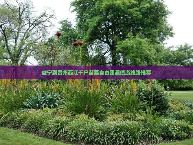 咸宁到贵州西江千户苗寨自由团