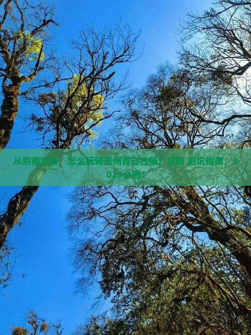 黔南到贵州青岩古镇景点
