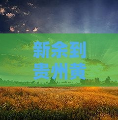新余到贵州黄果树瀑布一日