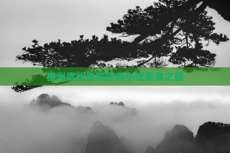 福州去贵州贵阳旅游小吃