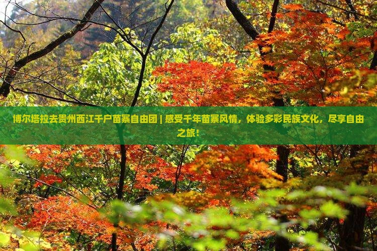 博尔塔拉去贵州西江千户苗寨自由团