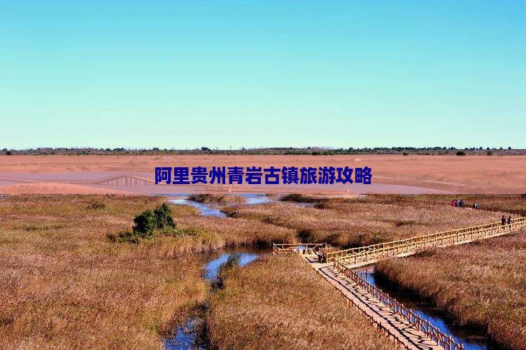 阿里去贵州青岩古镇团体旅游