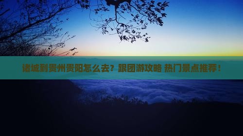 诸城到贵州贵阳旅行社