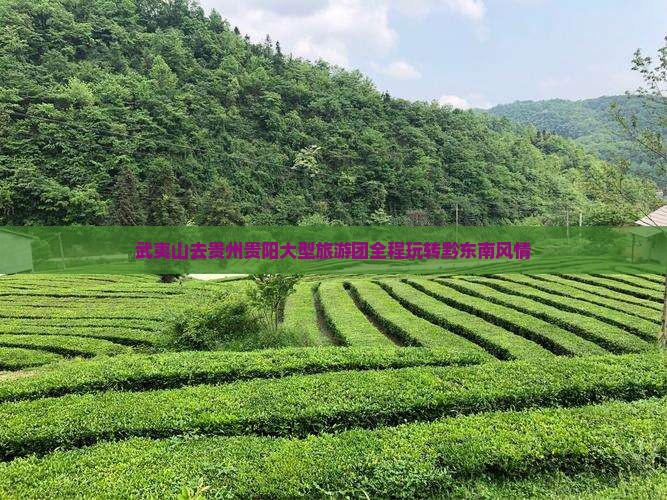 武夷山去贵州贵阳大型旅游团