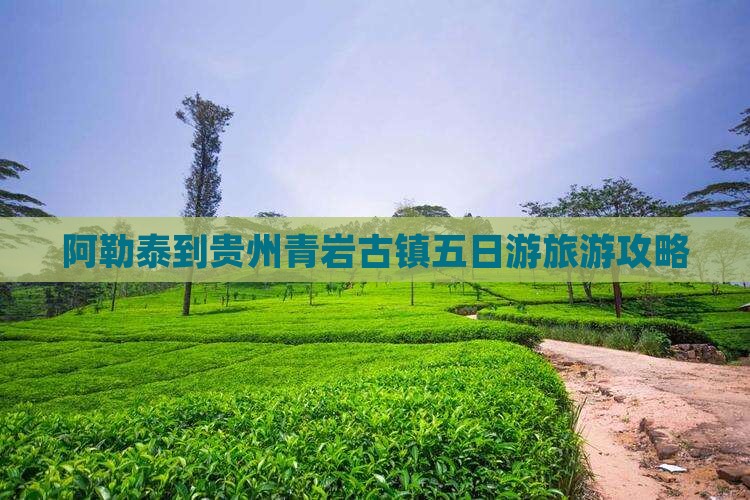 阿勒泰到贵州青岩古镇五日游