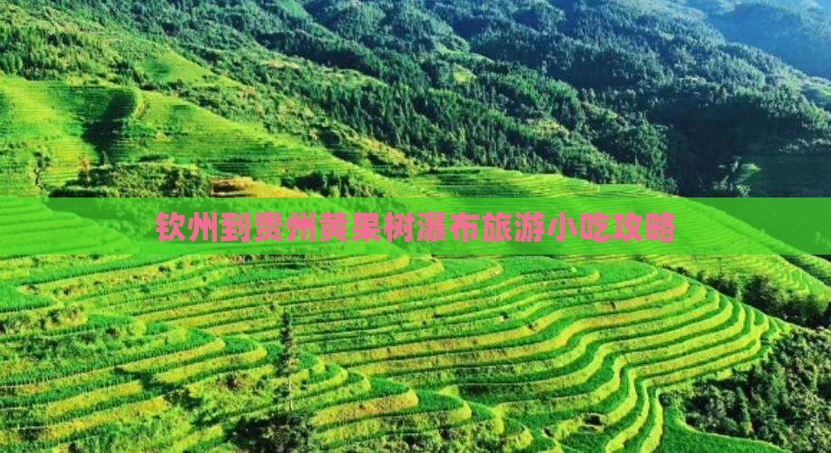 钦州到贵州黄果树瀑布旅游小吃