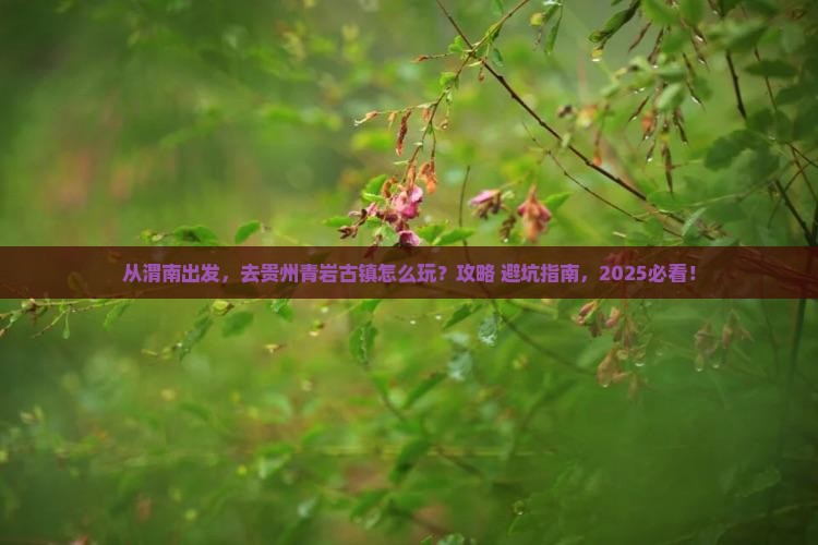 渭南到贵州青岩古镇景点