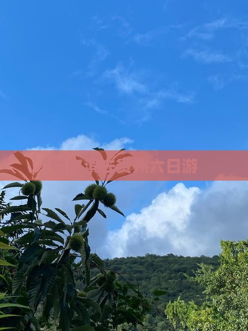 哈尔滨去贵州六日游