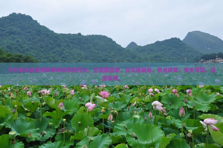 大兴安岭去贵州黄果树瀑布旅行社