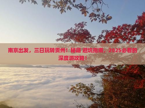 南京到贵州三日游