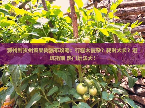 滁州到贵州黄果树瀑布攻略