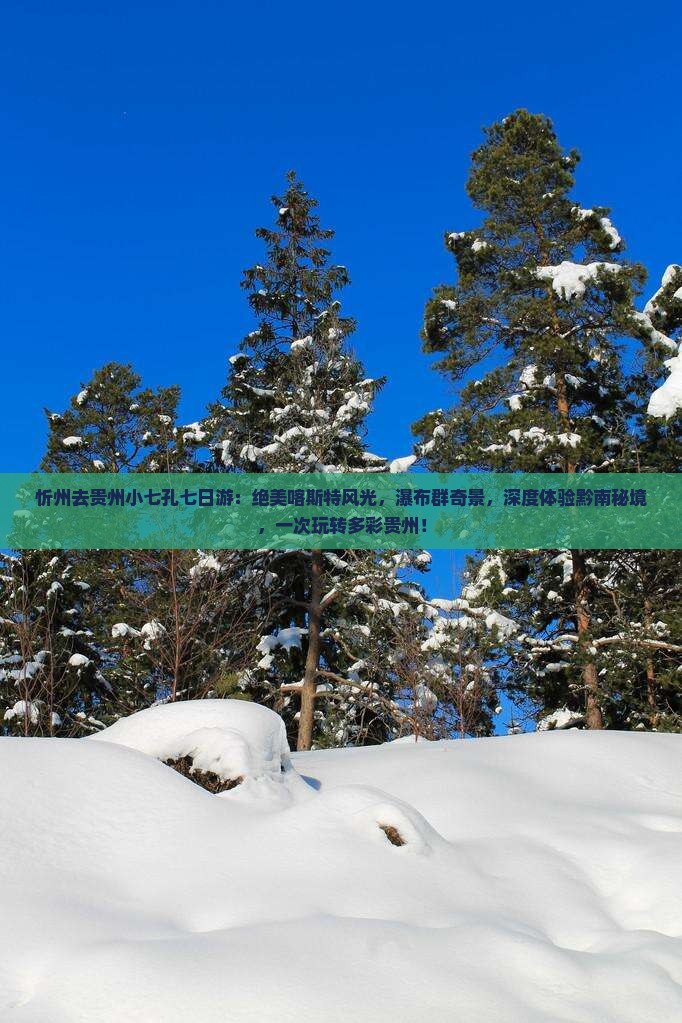 忻州去贵州小七孔七日游