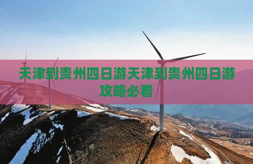天津到贵州四日游