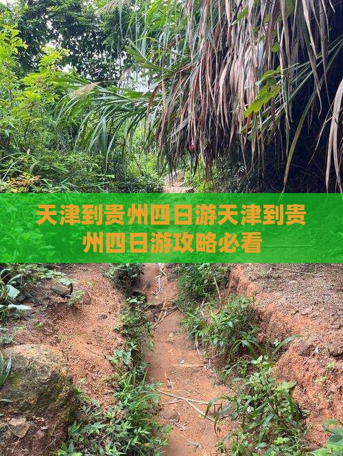 天津到贵州四日游