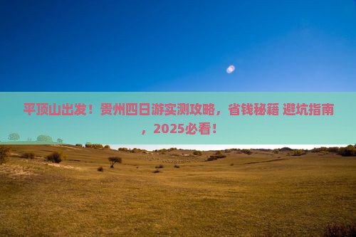 平顶山去贵州四日游