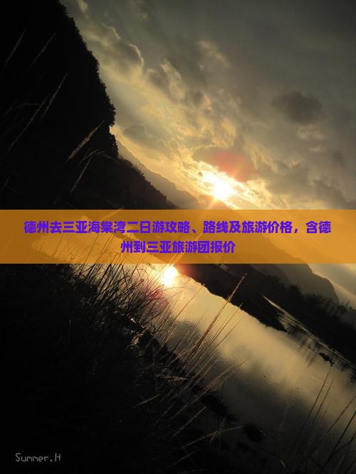德州去三亚海棠湾二日游