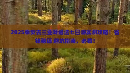 泰安去三亚呀诺达景区七日游