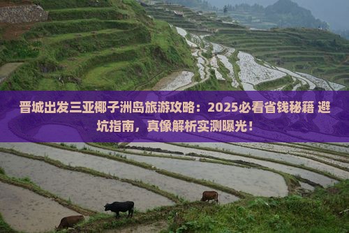 晋城出发三亚椰子洲岛旅行社
