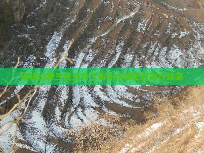 铜陵出发三亚亚特兰蒂斯水族馆自由行