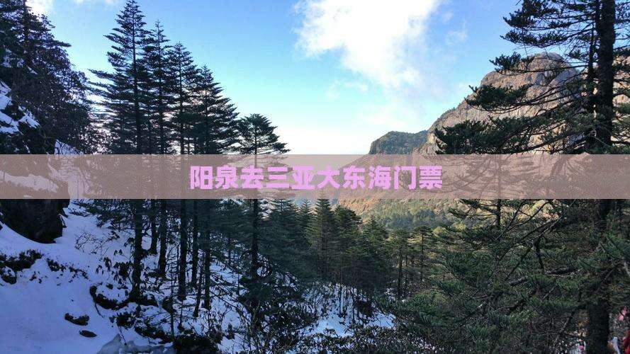 阳泉去三亚大东海门票