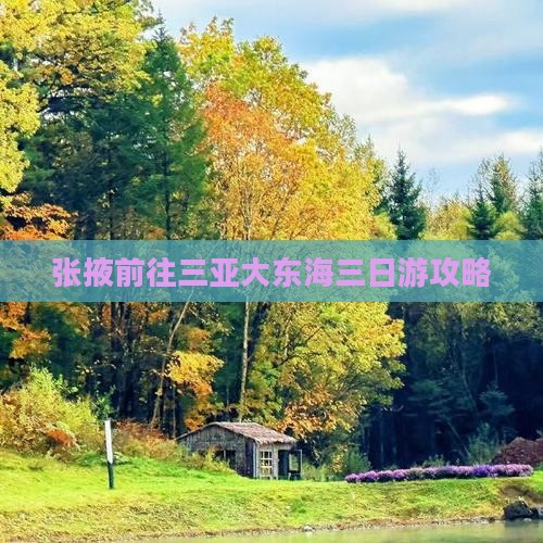 张掖前往三亚大东海三日游
