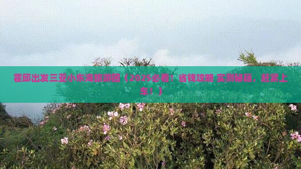 霍邱出发三亚小东海大型旅游团