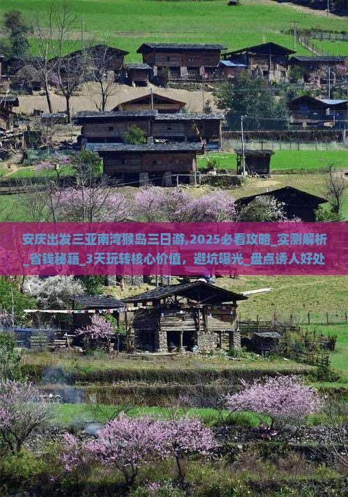 安庆出发三亚南湾猴岛三日游