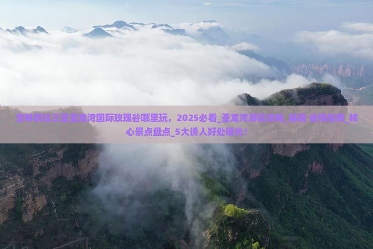 吉林前往三亚亚龙湾国际玫瑰谷哪里玩