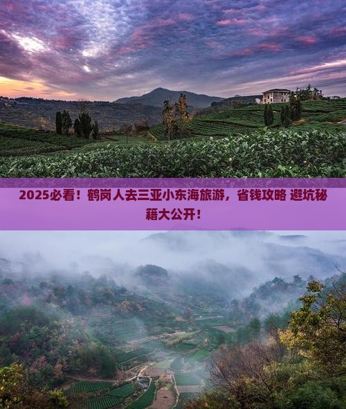鹤岗去三亚小东海旅游