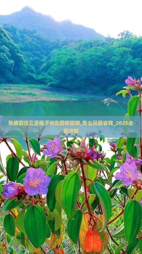 张掖前往三亚椰子洲岛团体旅游