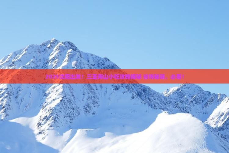 沈阳前往三亚南山文化旅游区旅游小吃