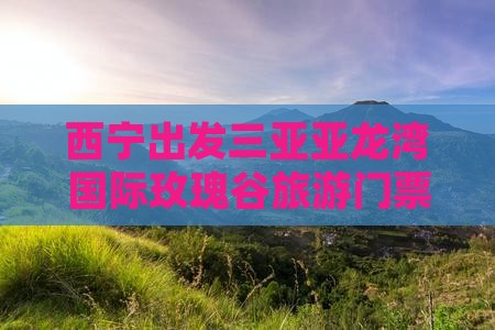 西宁出发三亚亚龙湾国际玫瑰谷旅行社