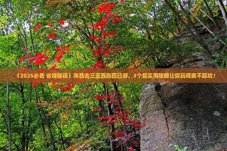海西前往三亚西岛四日游