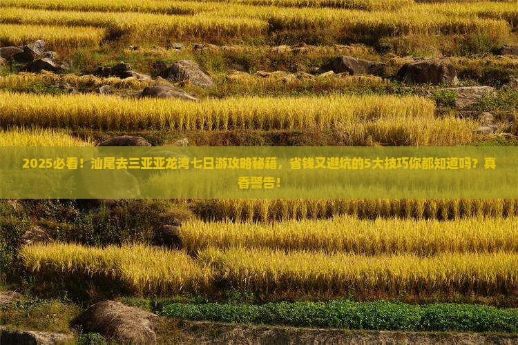 汕尾前往三亚亚龙湾七日游